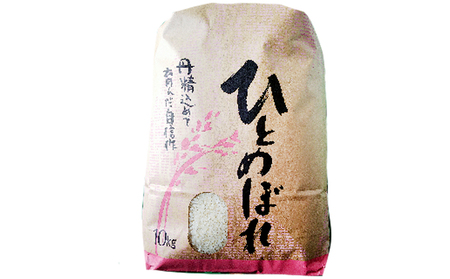 ひとめぼれ南会津町産令和7年産白米ひとめぼれ【10kg】