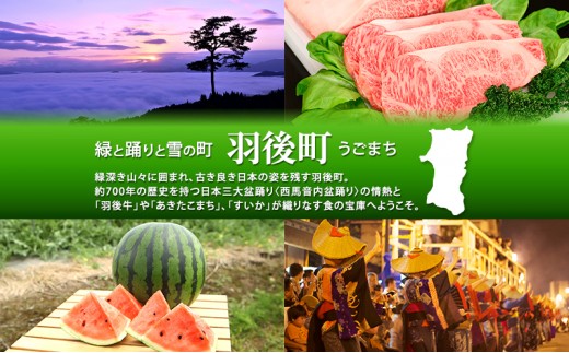 いぶり忍者がっこ丸 30個入［ゆめ企画須藤健太郎商店］【漬物 漬け物 いぶりがっこ 燻製 大根 だいこん スモークチーズ ご飯のお供 おつまみ 家飲み 秋田 羽後】