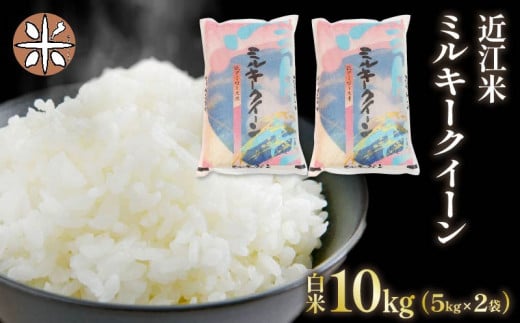 令和6年産 新米 白米 10㎏ ミルキークイーン 5kg × 2袋 精米 近江米 みるきーくいーん 国産 お米 米 おこめ ごはん ご飯 白飯 しろめし こめ ゴハン 御飯 滋賀県産 竜王 ふるさと ランキング 人気 おすすめ