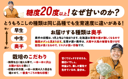 とうもろこし10本 おひさまコーン 元木農場 北海道 浦幌町産 生でも食べられる糖度20度以上 朝もぎたてとうもろこし  朝採り 旬の時期にお届け【8月中旬-9月中旬より順次出荷】
