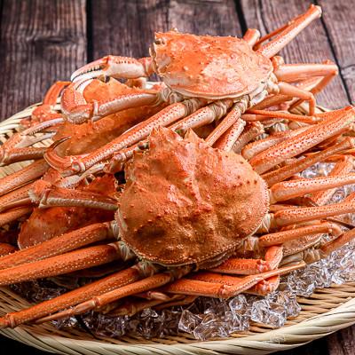 ふるさと納税 森町 ●北海道噴火湾産●【訳あり】冷凍ボイルオオズワイガニ 約2.0kg(オスメス小サイズ混合) |  | 01