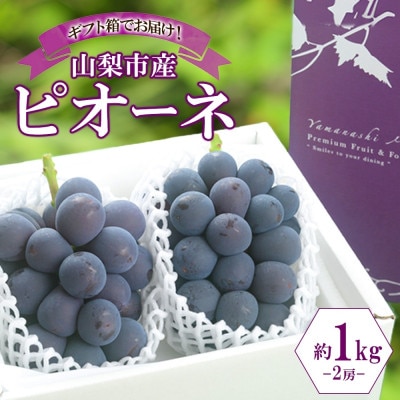 甘みと酸味のバランスが絶妙!「山梨県山梨市産 大房 ピオーネ 2房 約1kg」【配送不可地域：離島・沖縄県】