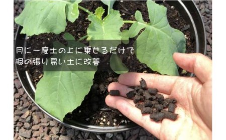 家庭菜園にオススメ！ ベランダ 農園女子 野菜 農業 土壌改良 サプリ 500mlx2 シャワー 180ml 家庭菜園 自然由来 高知県 須崎市