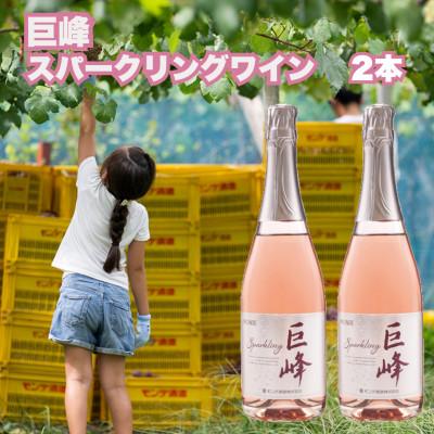 ふるさと納税 富士河口湖町 【モンデ酒造】巨峰スパークリングワイン　720ml×2本