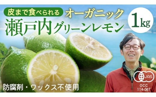 瀬戸内 オーガニック グリーンレモン 1kg【2026年10月以降発送】 レモン 有機JAS ワックス不使用 防腐剤不使用 国産 広島 選べる内容量 広島レモン 瀬戸内レモン 有機レモン ノーワックス 柑橘 産地直送 中原観光農園 大崎上島