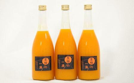 【無添加】田村みかんの新鮮100％ジュース「至極の一滴」720ml×3本入り★2025年2月上旬頃より順次発送［TM23w］