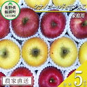 【ふるさと納税】 りんご 蜜入り サンふじ ＆ シナノゴールド 味比べ セット 家庭用 合計 5kg 詰め合わせ 井澤農園 沖縄県配送不可 令和6年度収穫分 長野県 飯綱町 〔 信州 果物 フルーツ リンゴ 長野 16000円 予約 農家直送 〕発送時期：2024年11月中旬～2025年1月下旬 {**}