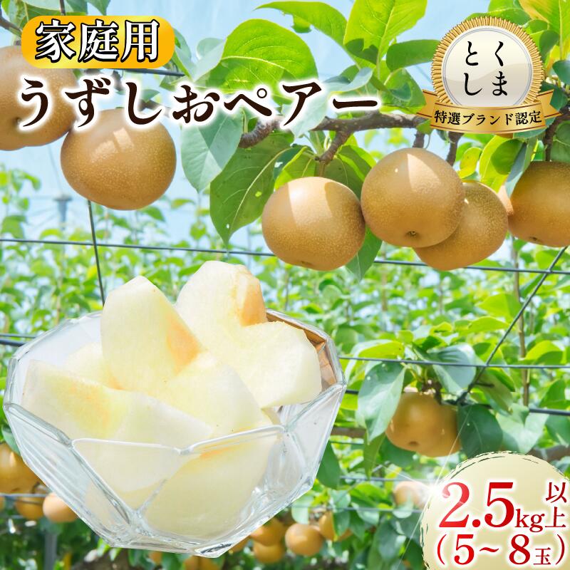 【ふるさと納税】 【2026年先行予約】梨 なし ご家庭用 2.5kg以上 5〜8玉 2026年 8月順次発送 うずしおペアー 果物 フルーツ デザート 旬 新鮮 季節 秋 人気 おすすめ ギフト プレゼント 贈答 贈り物 家庭用 期間限定 送料無料 鳴門 徳島
