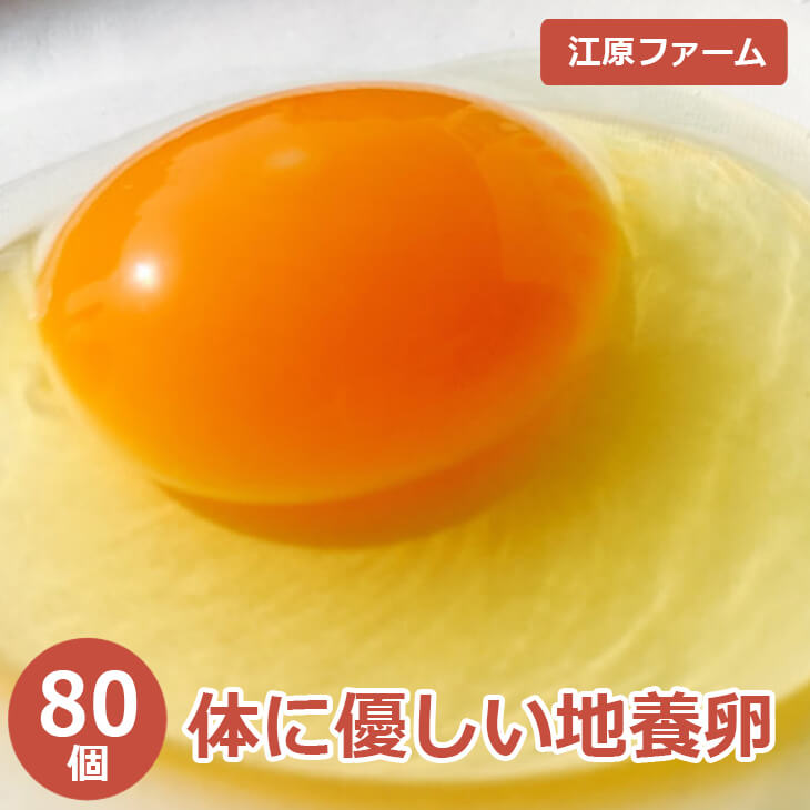 【ふるさと納税】江原ファーム 体に優しい地養卵 80個 割れ補償 卵 赤玉 玉子 たまご タマゴ 生卵 鶏卵 生みたて 産みたて 地養卵 新鮮 濃厚 健康 TKG たまごかけごはん ご飯のお供 国産 ギフト 贈答 贈り物 お中元 お歳暮 プレゼント 直送 農家直送 産地直送 送料無料 _AG05
