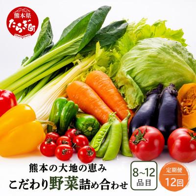 ふるさと納税 多良木町 【毎月定期便】熊本の大地の恵み 旬のこだわり野菜詰め合わせセット8〜12品(3〜4名様向け)全12回