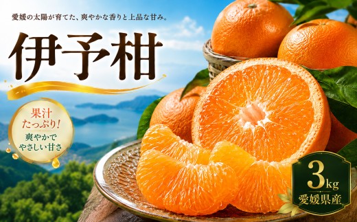 【安心して選べる】 爽やかジューシー 【伊予柑】3kg 愛媛県産 【2027年1月上旬頃から順次発送】 | みかん ミカン mikan みかん 蜜柑 訳ありフルーツ 柑橘 果物 おすすめ お勧め お取り寄せ ギフト 愛媛県 松山市