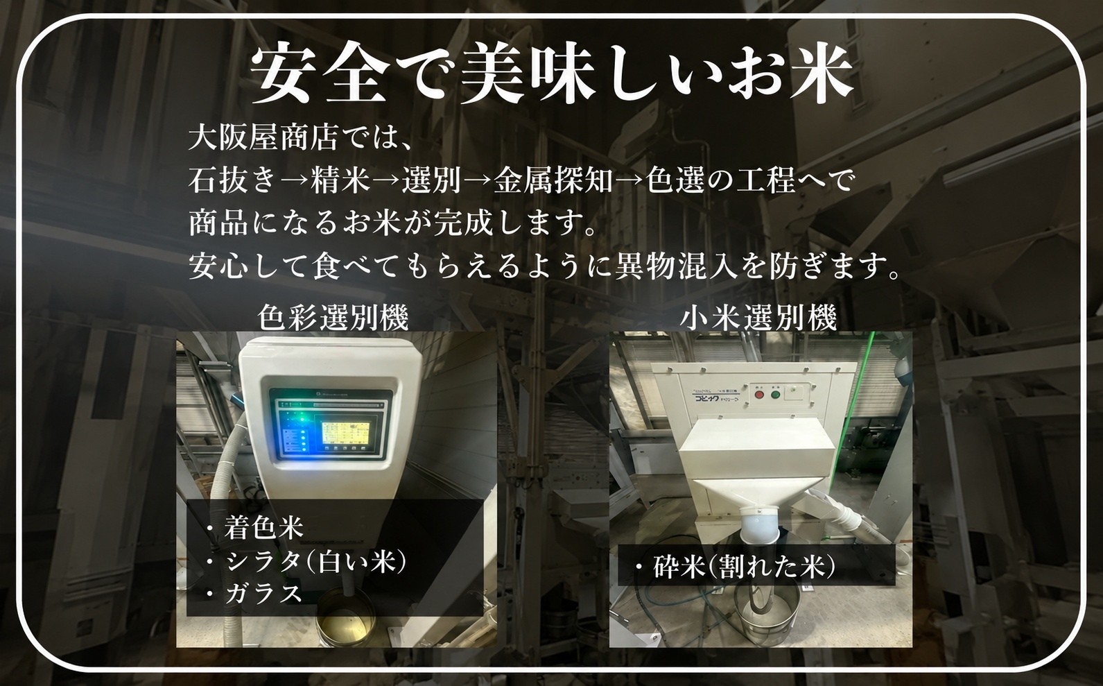 土づくりを極めた生産者、段丘会の自信作