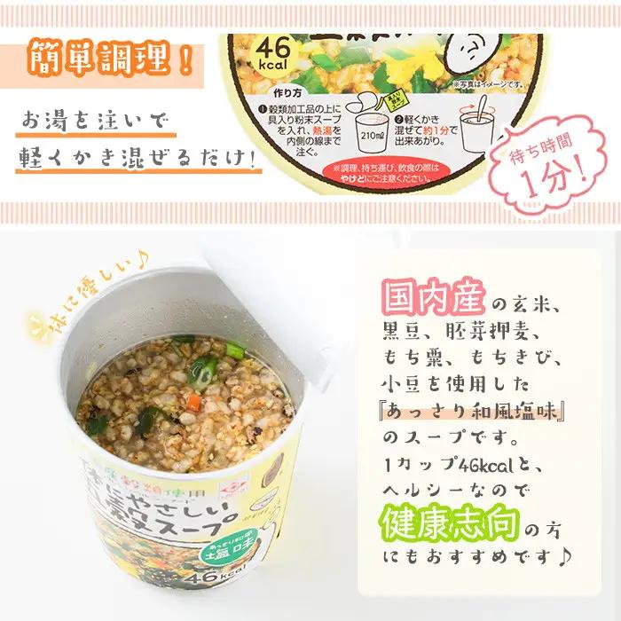 No.518 あっさり和風塩味♪カップ体にやさしい五穀スープ(13g×48個)国産 鹿児島 日置市 特産品 特産 インスタント 常備食 低カロリー ヘルシー 健康 玄米 黒豆 もち粟 もちきび 小豆 
