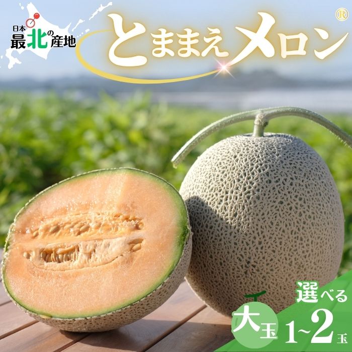 【ふるさと納税】【2027年産 先行受付】とままえメロン 1.6kg前後 大玉サイズ 1玉 2玉 容量が選べる 北海道産 先行 予約 受付 赤肉 甘い 糖度14度 旬 産地直送 めろん フルーツ 果物 デザート 北海道 苫前町 とままえ