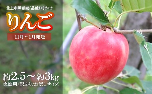 訳あり りんご 約 2.5kg ～ 3kg ( 11月～発送予約受付 / 品種おまかせ ） 季節のりんご 旬のりんご リンゴ お試し 家庭用 品種 おまかせ サンフジ ジョナゴールド シナノゴールド  国産 フルーツ 林檎 アップル 詰合せ セット 岩手県 北上市 黒岩産直 C0605R0808