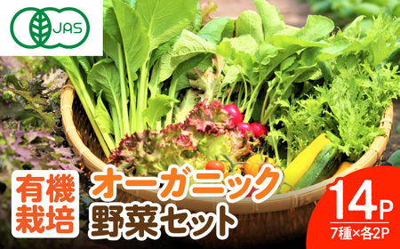 【植物性で育てた葉野菜ブランド】 オーガニック葉物野菜セット 7種×2パック 有機JAS 佐賀県 / 株式会社サガンベジ [41ANCH002]