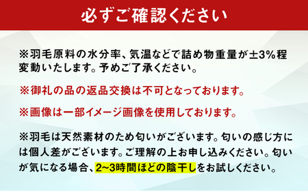 【訳あり】筑後七国羽毛ふとん シングル 羽毛1kg 無地アイボリー 広川町 / ヒラモリ株式会社[AFAO026]