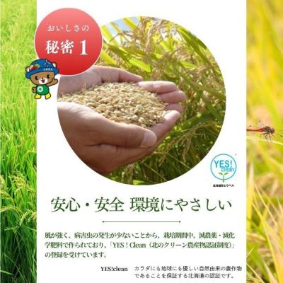 ふるさと納税 苫前町 令和7年産 特別栽培米 ゆめぴりか ななつぼし食べ比べセット 各450g 北海道産 rum07 |  | 01