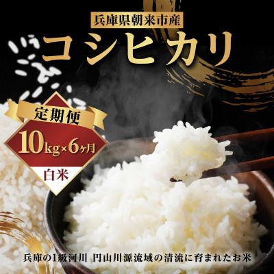 ふるさと納税 朝来市 【発送月固定定期便】兵庫県朝来市産コシヒカリ 10kg(5kg×2袋)全6回