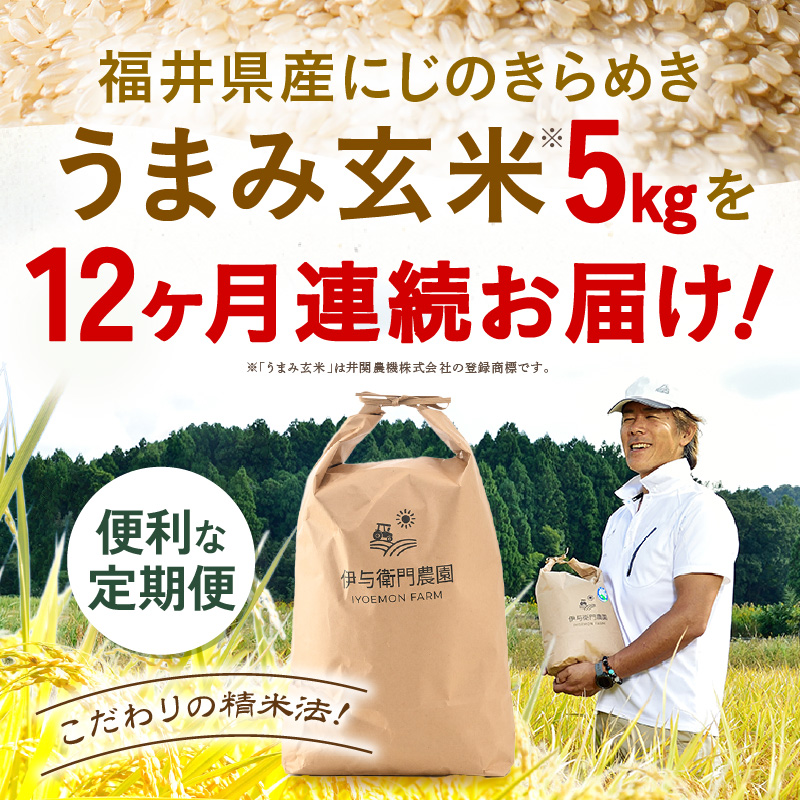 【先行予約】【令和8年産】定期便 ≪12ヶ月連続お届け≫ にじのきらめき うまみ玄米 5kg×12回 ／ 鮮度抜群 キロ 福井県あわら産 玄米 お米 ※2026年10月上旬より順次発送 [aw071-