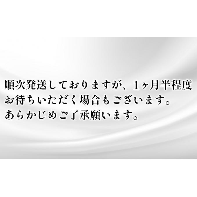 トイレットペーパー シングル 3倍 長持ち 4ロール入×12パック スコッティ フラワーパック 香り付き トイレット ペーパー トイペ セット 節約 日用品 日用雑貨 消耗品 備蓄 備蓄品 備蓄用 防