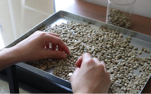 珈琲 コーヒー 飲み比べ コーヒー豆 2種 約300g (豆 150g×2) 自家焙煎 焙煎 浅煎り 珈琲  飲み比べ コーヒーセット 飲料 デザート ギフト 贈答用 お取り寄せ cafe&gin m