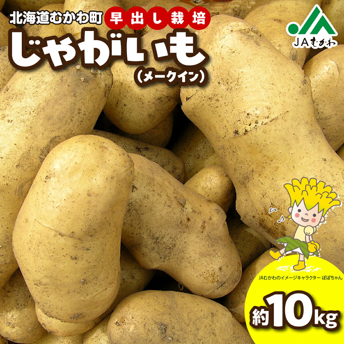 【ふるさと納税】＜2026年8月上旬より発送＞ばれいしょ 【 ふるさと納税 人気 おすすめ ランキング 馬鈴薯 バレイショ 芋 いも じゃがいも ジャガイモ 野菜 こだわり ご当地 むかわ 鵡川 北海道 むかわ町 送料無料 】 MKWAL2001