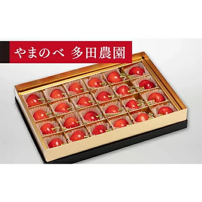 【ふるさと納税】《2026年先行予約》【珠玉の紅秀峰】みやび箱 24粒【やまのべ多田耕太郎のさくらんぼ 多田農園】期間限定 数量限定 山形県産 サクランボ フルーツ 果物 くだもの 贈答 F4A-0035