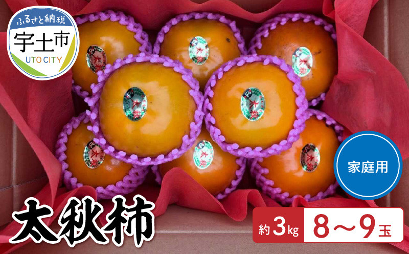 
                  【先行予約】【家庭用】太秋柿 約3kg（8～9玉）2L～4L大玉 _U135-0002
                