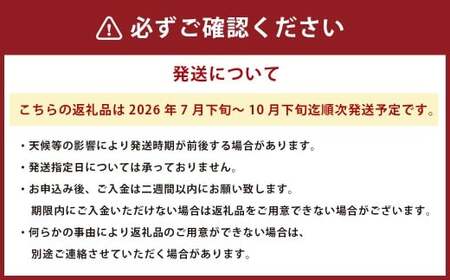 ＜ R8年熊本地震復興支援 ＞シャインマスカット 約1.5kg（2～3房）【2026年7月下旬～10月下旬迄順次発送予定】果物 フルーツ マスカット ブドウ 葡萄