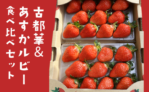 【2026年1月末より出荷開始】いちご 古都華 ＆ あすかルビー 食べ比べ セット 完熟いちご フルーツ 果物 旬 産地直送 旬のフルーツ 旬の果物 お取り寄せ おやつ デザート 希少 ことか 苺 冷蔵 冷蔵配送 奈良 奈良県 BN001