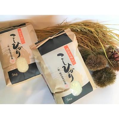 ふるさと納税 高島市 実生庵の近江米【四季風流】コシヒカリ 5kg×2袋 精米 MS84