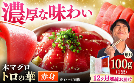 【全12回定期便】対馬産 本マグロ 赤身100g ≪対馬市≫【桐谷商店】 トロの華 対馬 新鮮 マグロ 赤身 鮪 刺身[WAQ110]