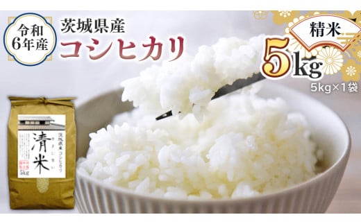 令和6年産 茨城県産 精米 コシヒカリ 5kg （5kg×1袋） 白米 清米 キヨシマイ こしひかり 米 コメ こめ 単一米 限定 茨城県産 国産 美味しい お米 おこめ おコメ