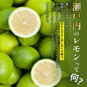 【愛媛県産】 グリーンレモン 約3kg 柑橘 みかん 果物 くだもの フルーツ おすすめ 人気 お取り寄せ グルメ ギフト 期間限定 数量限定 ご当地 愛媛県 松山市 たかぎ果樹園【TKG013】