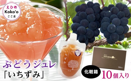 「いちずみ」ぶどうジュレ　１０個入り【化粧箱入り】  | ゼリー ぶどうゼリー ぶどうジュレ 葡萄ゼリー 葡萄ジュレ ブドウゼリー ブドウジュレ フルーツ スイーツ 愛媛県 松山市 ココオ Koko'o