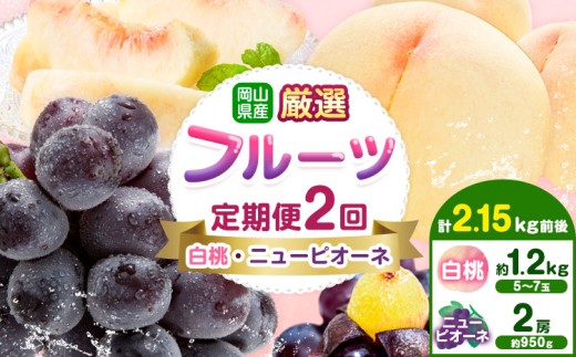 岡山県産 厳選 フルーツ 定期便 2回 白桃 ニューピオーネ 計2.15kg前後 株式会社藍《2026年7月上旬-9月末頃出荷》 岡山県 浅口市 岡山県産 白桃 桃 ニューピオーネ 種無し 旬 フルーツ 果物 くだもの 送料無料 【配送不可地域あり】