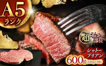 【唯一無二の贅沢！】長崎和牛 シャトーブリアン 600g(200g×3) / ヒレ ひれ ヒレステーキ ステーキ すてーき しゃとーぶりあん / 諫早市 / 野中精肉店[AHCW153]