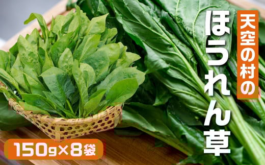 《先行予約》飛騨ほうれん草 たっぷり 150g×8個  朝採れほうれんそう 使いやすい 個包装 朝採れ 野菜 ほうれん草 ホウレンソウ ほうれんそう 炒め物 スムージー ジュース 炒め物 やさい 大容量 新鮮 旬