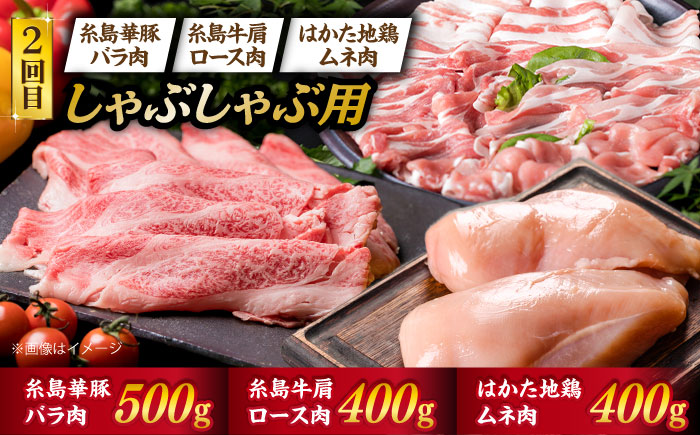 美味しさ 満載 ！ 贅沢お 肉 セット の 定期便 全5回 （月1回） 4人 家族用 【福岡 糸島産 牛肉 豚肉 鶏肉 ステーキ しゃぶしゃぶ すき焼き ヒレ シャトーブリアン ロース】 《糸島》 【