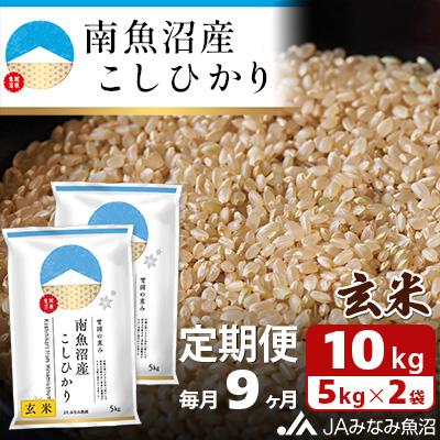 ふるさと納税 南魚沼市 【毎月定期便】南魚沼産こしひかり 玄米 10kg(5kg×2袋)全9回