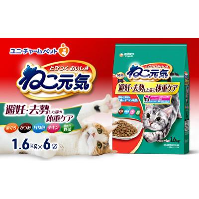 ふるさと納税 伊丹市 ねこ元気 避妊・去勢した猫の体重ケア まぐろかつお白身魚チキン緑黄色野菜入り[54030484]