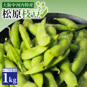 【香ばし旨味】大粒 甘み香ばしい 無農薬 枝豆1kg 上田ファーム 自然栽培旬の味 枝豆 1kg 大粒 甘い 香ばしい ホクホク 新鮮 無農薬 有機 自然栽培 エコ 安心 安全 通販 お取り寄せ 贈答 直売 収穫 旬 初夏 ブランド 野菜 肥料 放線菌 魚ぼかし 栄養 まったら愛っ娘 松原 大阪