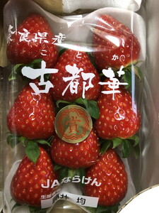 おかげさまで21年目 毎年大好評の甘い美味しい苺（レギュラーパック2Lサイズ×2パック）（古都華（ことか））※北海道・沖縄・離島への配送不可 ※2026年1月上旬頃より順次発送予定