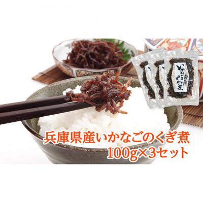 ふるさと納税 姫路市 いかなごのくぎ煮 100g×3セット[53651004]