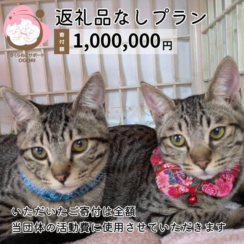【ふるさと納税】保護猫活動を応援！ 返礼品無し 1,000,000円（お礼状送付） 保護猫