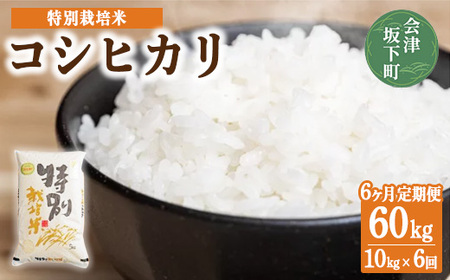 3-O　【6ヶ月定期便】コシヒカリ 白米 会津 10kg 6回 計60kg 令和7年産米 ｜ 減農薬 特別栽培米 米 お米 藤川農産 ※2025年10月上旬頃より順次発送予定