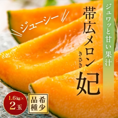 【2023年7月より発送・先行受付】帯広メロン・2玉　北海道　赤肉メロン　フルーツ　産直