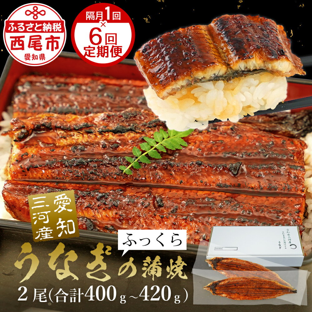 【ふるさと納税】【定期便】三河産うなぎ「超特大蒲焼き2尾(合計400〜420g)」×6回(隔月1回　1年間)・A133-1200【冷凍便】うなぎ 国産 西尾市 日本産 愛知県産 鰻 特大 タレ付き たれセット さんしょう 土用の丑の日 食品 MB
