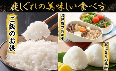 りくべつ鹿しぐれ【5個】鹿肉 肉 ジビエ 冷蔵便 送料無料 エゾシカ フキ ふき 粗挽き肉 上質 鹿 濃厚 旨味 しっとり 80g×5 ご飯 お供 白米 白飯 お供 お弁当 しぐれ丼 おにぎりお酒 有